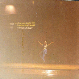 linear_dancer.gif (45150 bytes)
