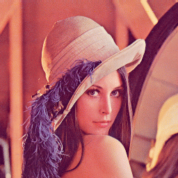 linear_lenna.gif (56693 bytes)