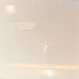 org_dancer.gif (36912 bytes)