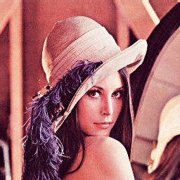 stype_2_1.5_lenna_lin.gif (55590 bytes)