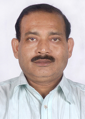 Mr. Shibu Mukherjee