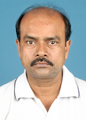 Mr. Sarajit Roy