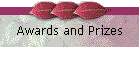 Awards and Prizes