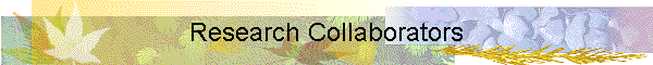 Research Collaborators