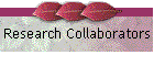 Research Collaborators