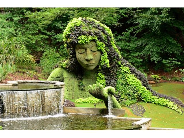 Botanical Garden