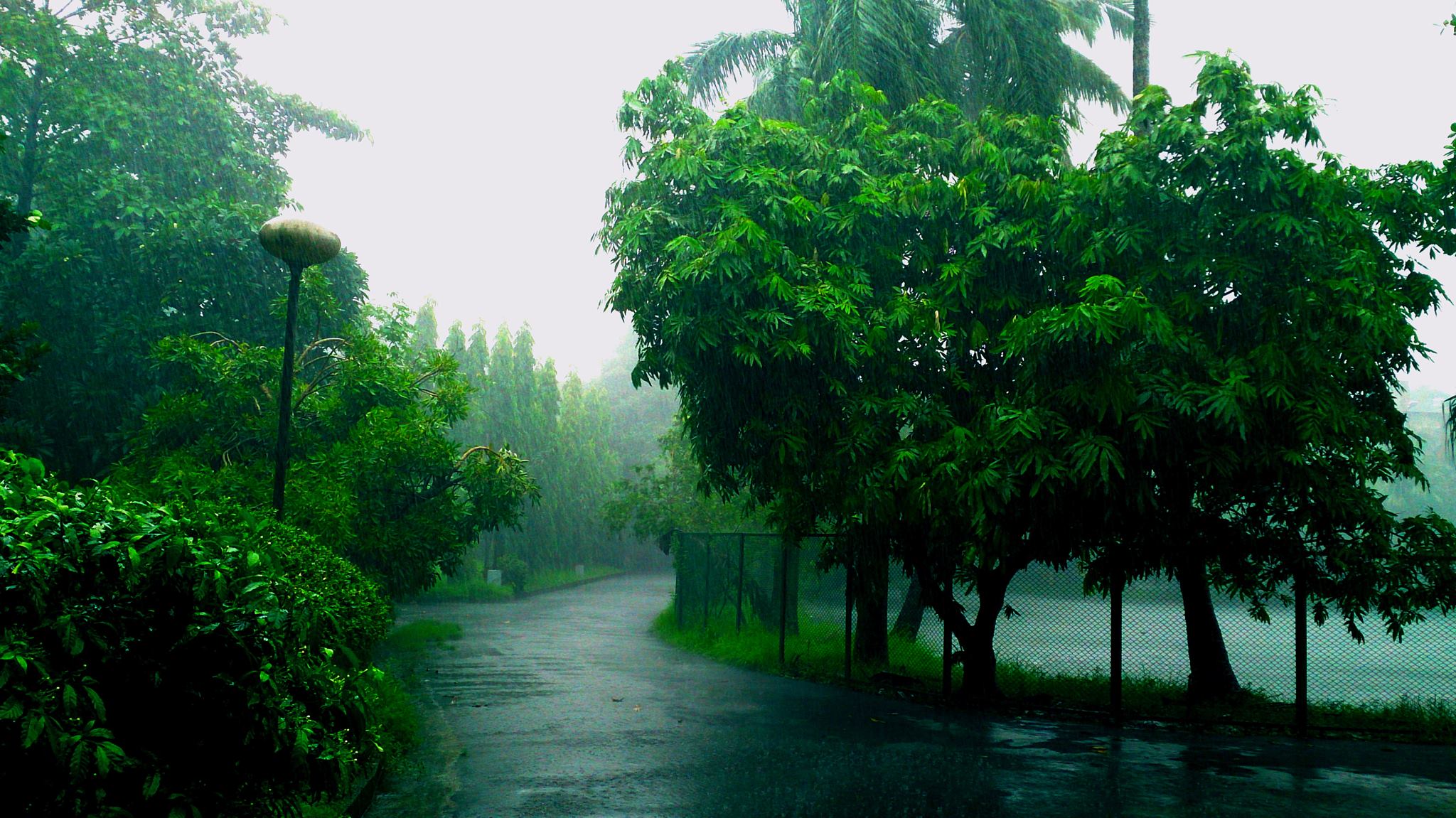 Photograph taken by
  Santanu K. Maiti