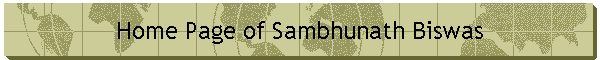 Home Page of Sambhunath Biswas