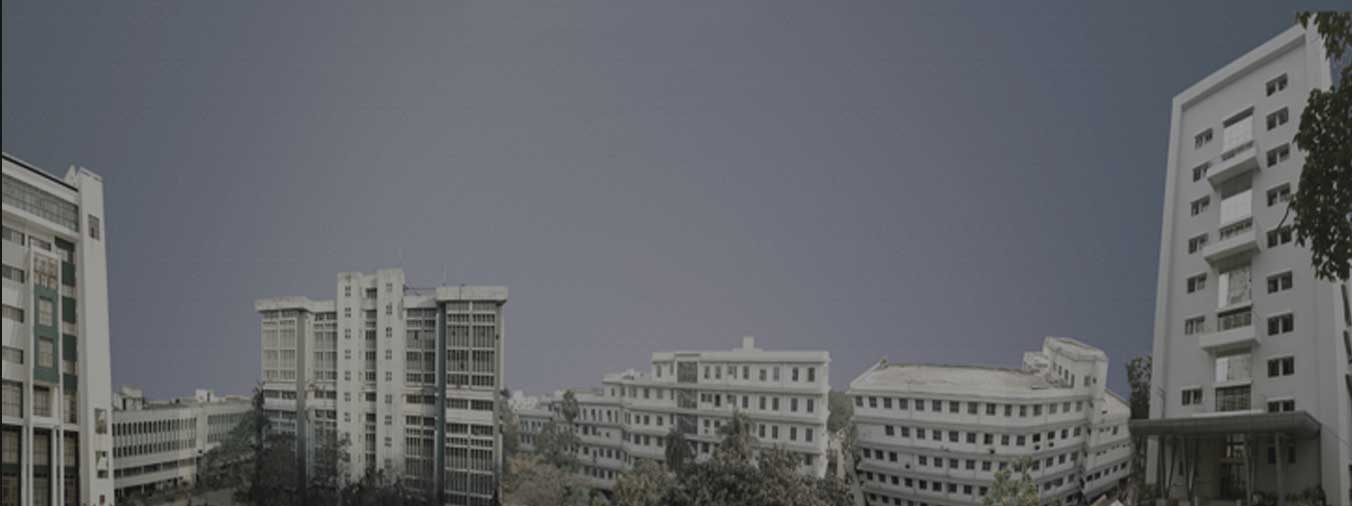 banner6.jpg