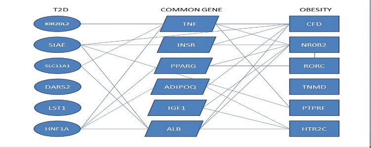 connections